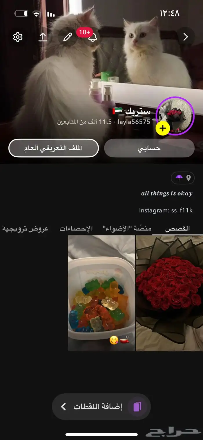 حساب سناب 11 الف 0