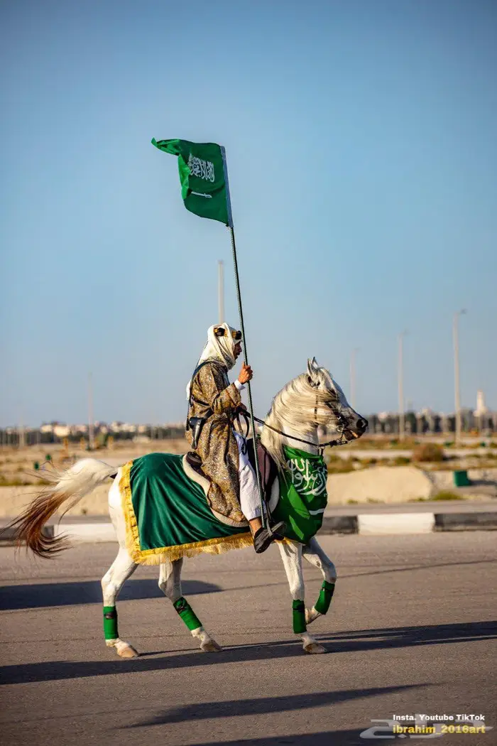 إيجار خيول وفرسان لليوم الوطني 3