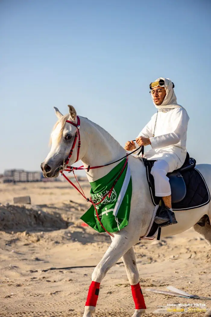 إيجار خيول وفرسان لليوم الوطني 4