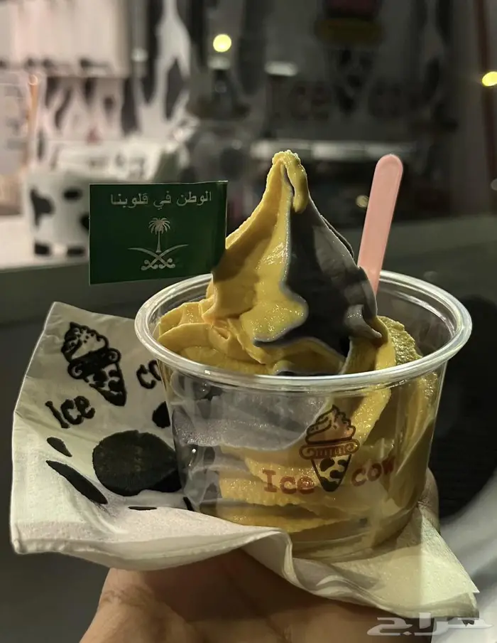 سياره ايسكريم للبيع 6