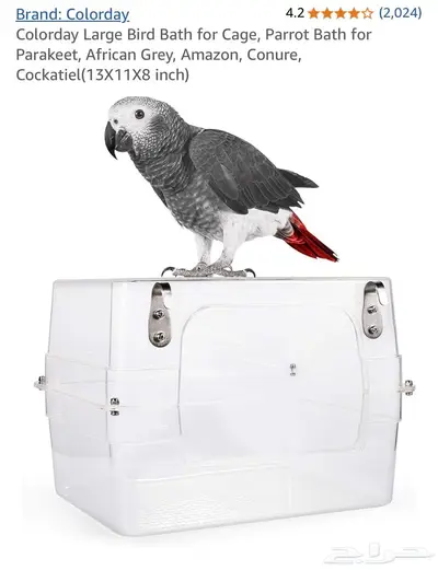 حوض سباحة للطيور Bird Bath index