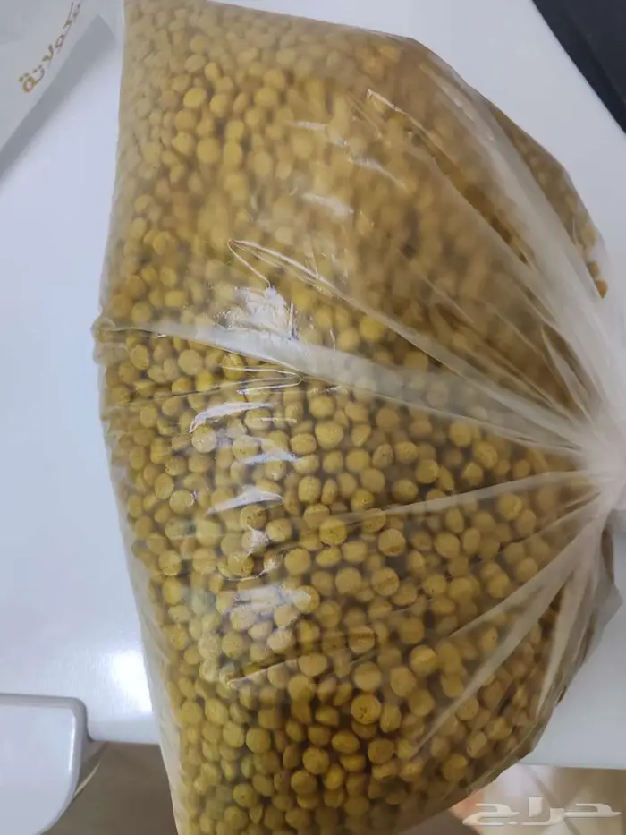 اكل ببغاء كاسكو أفي ماكس اليومي Avimax Parrot Daily 1