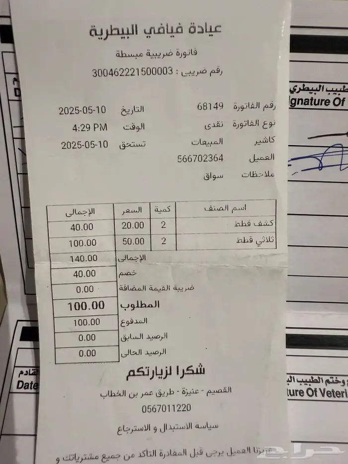 للبيع قطط سكوتش انثى وذكر 9