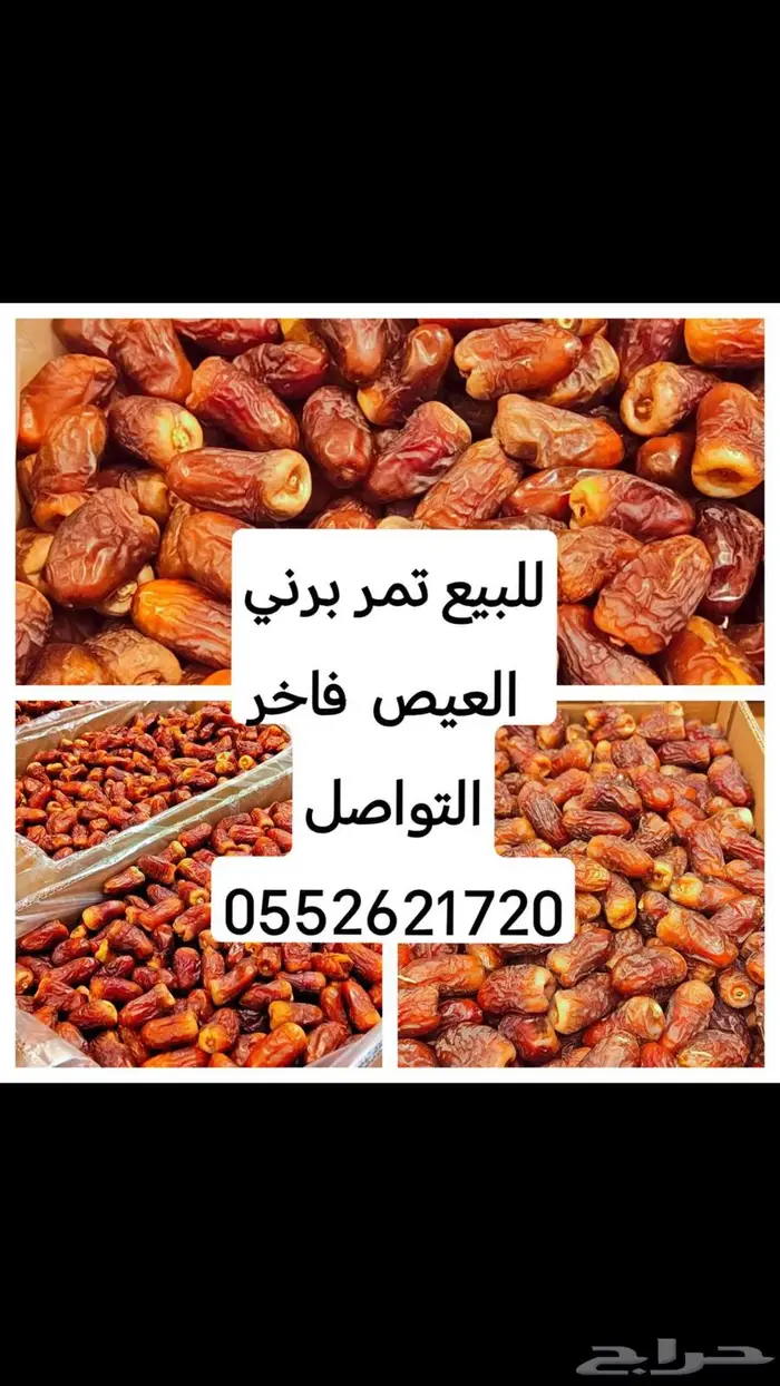 تمر برني فاخر 0