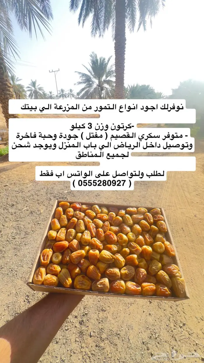 تمر سكري مفتل خراف هذا الاسبوع من (القصيم) 1