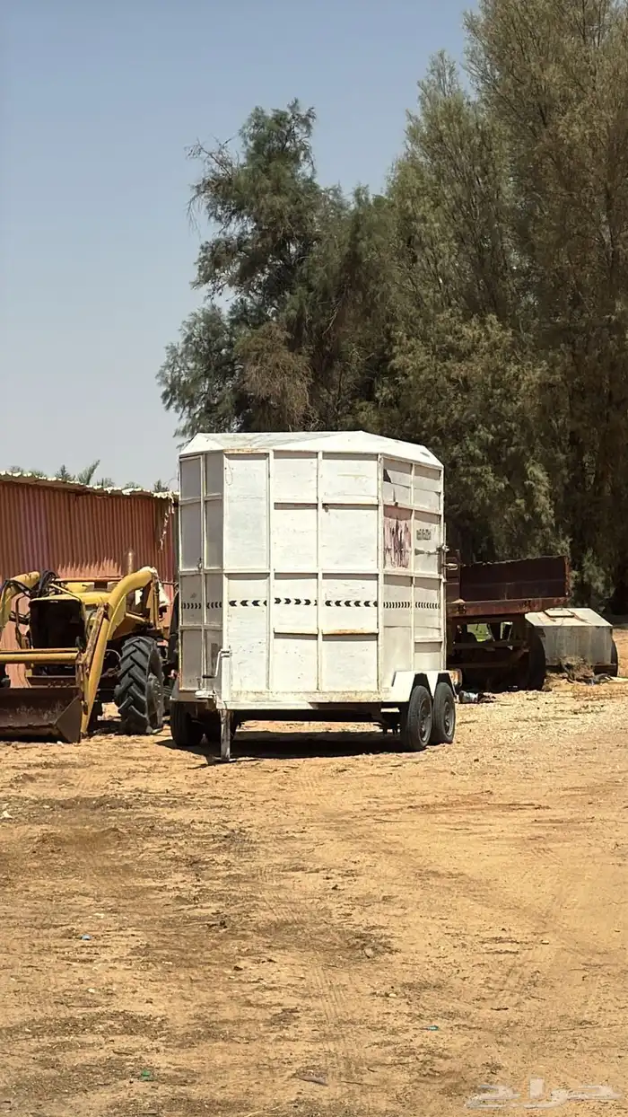 عربة راسين محلية 7
