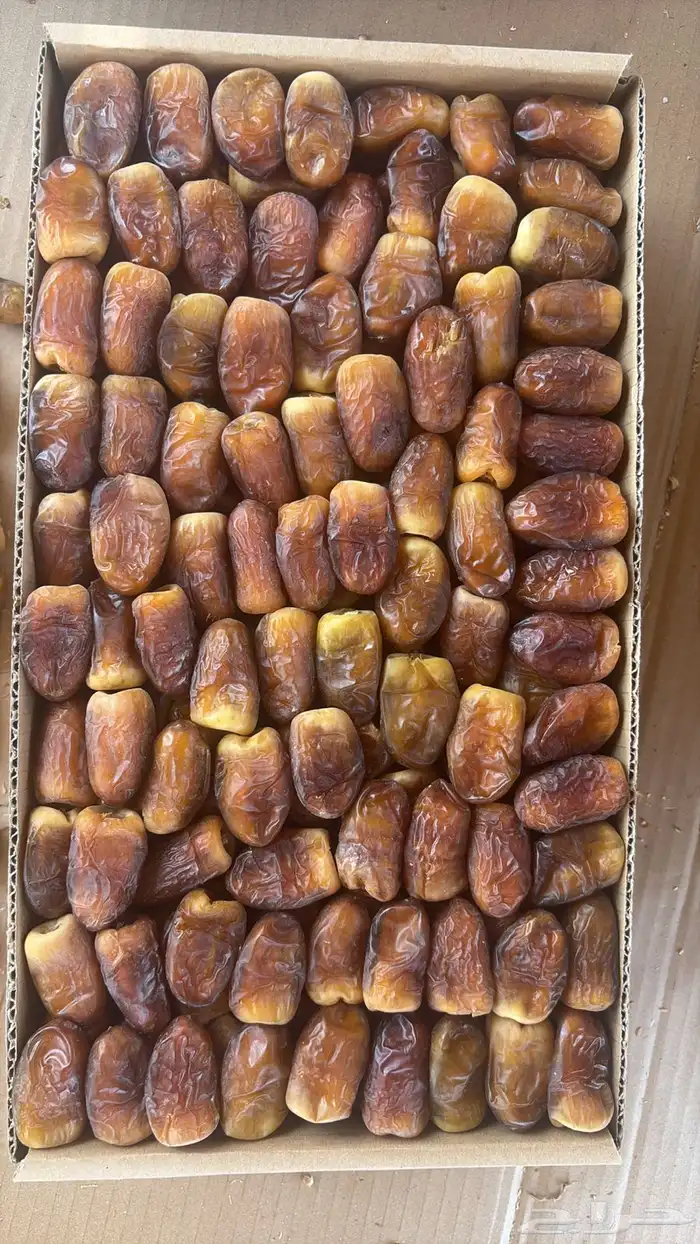 برني 3