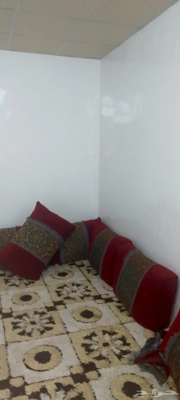 شقتين للايجار 11