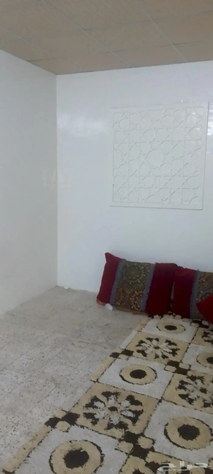 شقتين للايجار 12