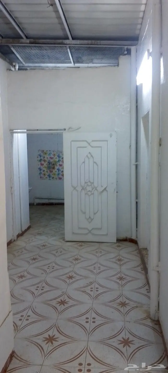 شقتين للايجار 1