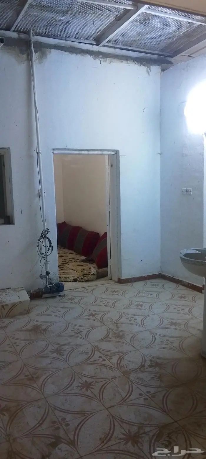 شقتين للايجار 15