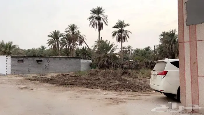مزرعة للإيجار في قرية القرين الاحساء 1