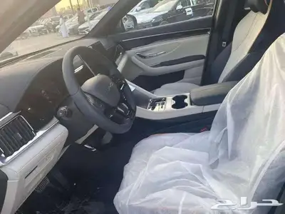 بي واي دي سونج بلس 2026 index