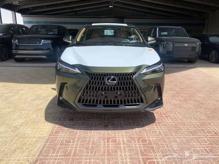 لكزس NX 350 AA 2025 زيتي داخلي جملي 0