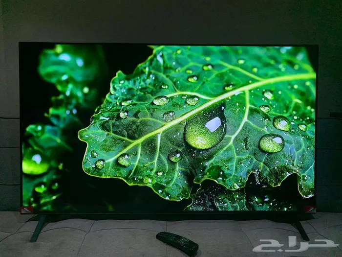 شاشة تلفزيون 55 بوصة سمارت LG OLED 1