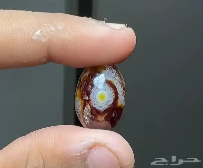 سليمانيات هندي نادرة 0