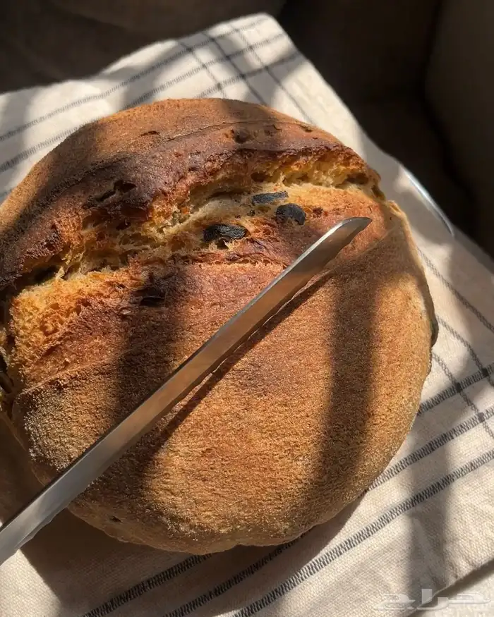 ساوردو خميرة طبيعية 4