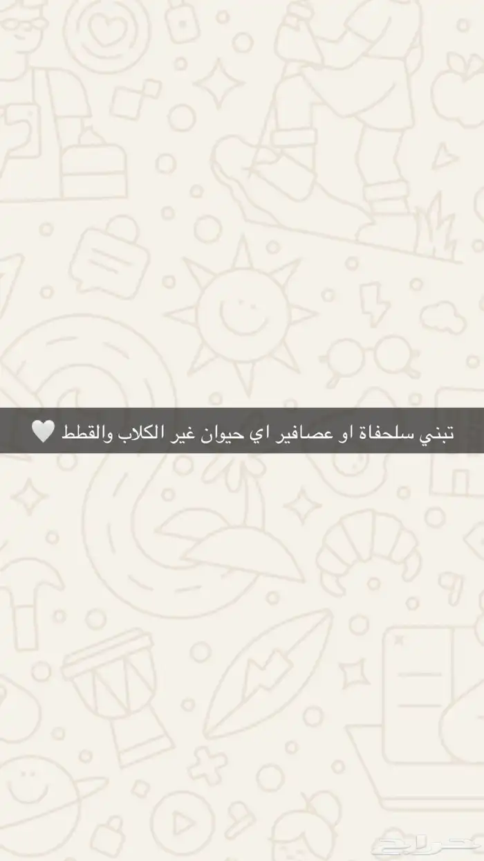 انا ابغى اتبنى حيوانات غير القطط والكلاب والأكثر طيور 0