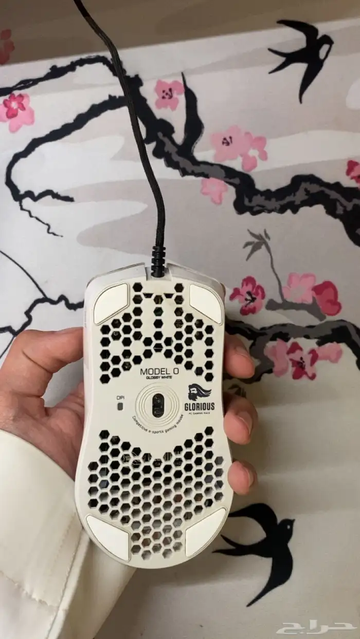 ماوس قلوريوس 2
