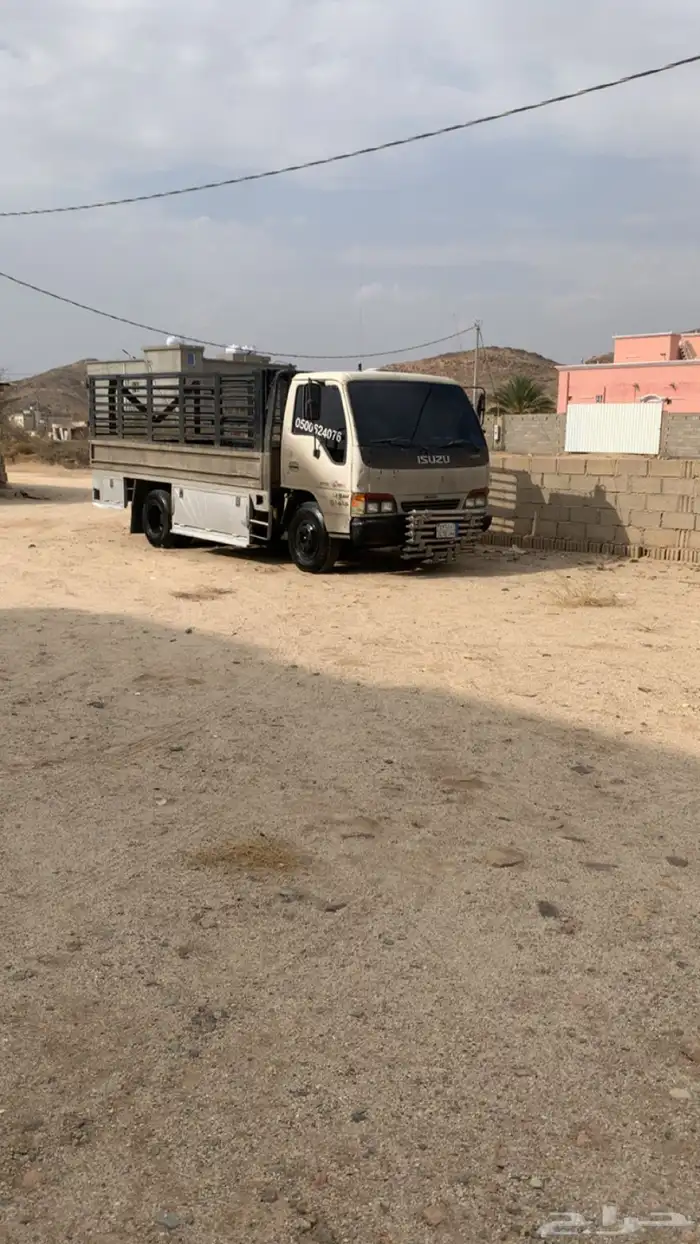 دينا شبك دينه الرياض 0
