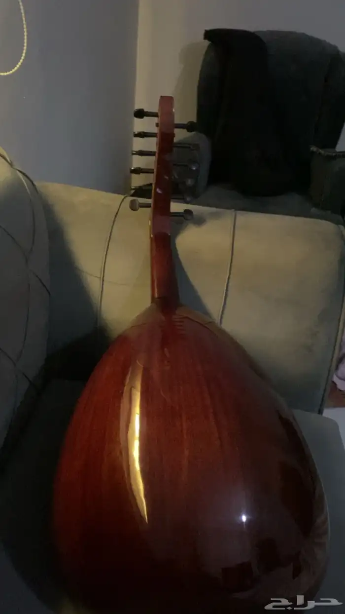 عود مصري 2