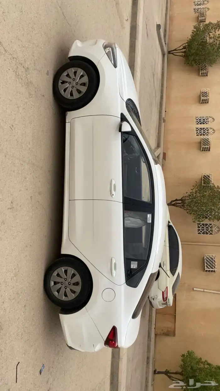 ريو 2019 8