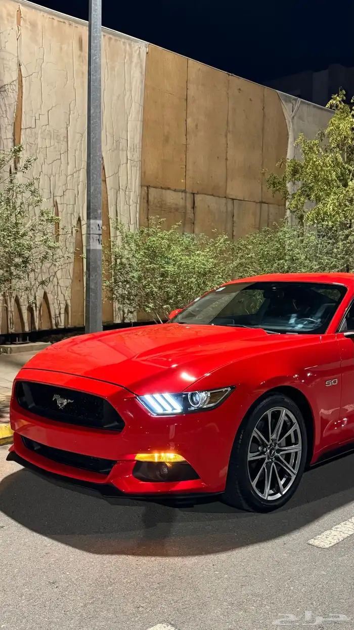 موستنق GT بريميوم 77km 7