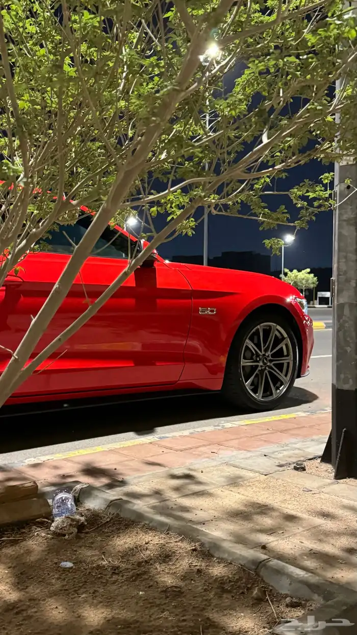 موستنق GT بريميوم 77km 3