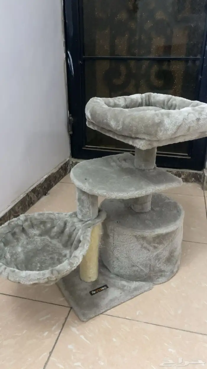 بيت القطاوه 1
