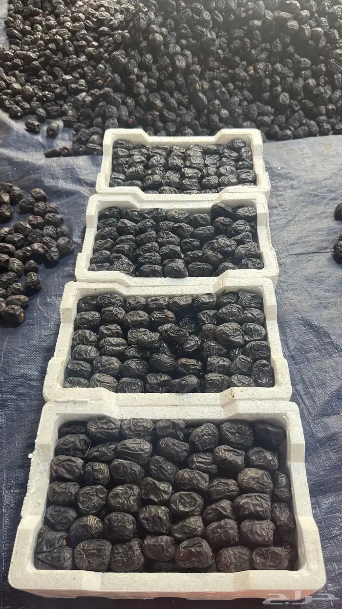 متوفر عجوة رطب فاخرة 0