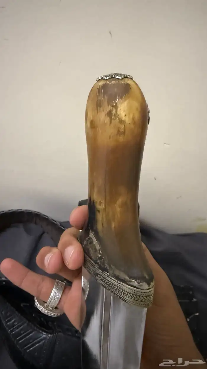 جنبيه قرن كفو جدا 3