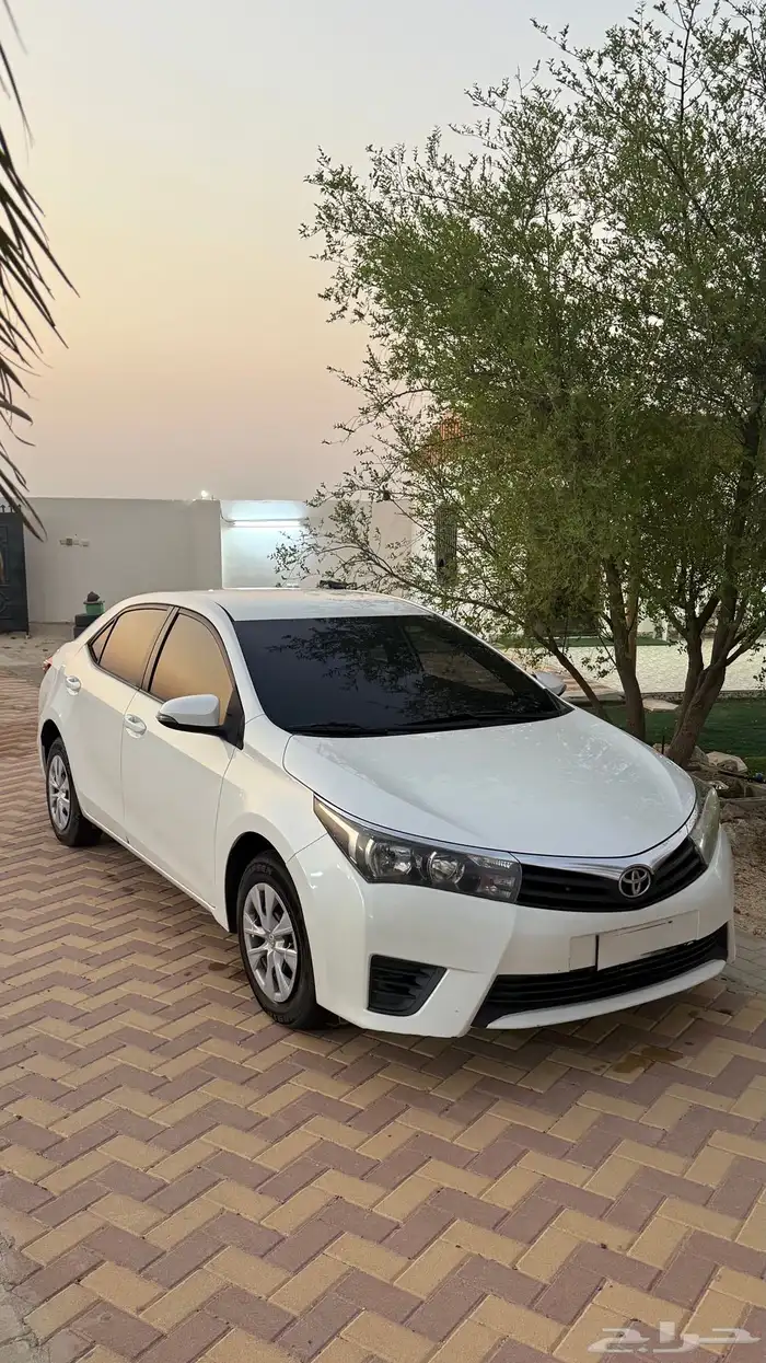 كورولا استاندر 2015 2