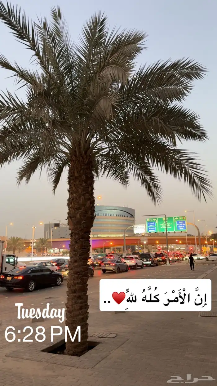 متحرك من المدينه للرياض اليوم الجمعه العصر بمشيئه الله 26 9 0