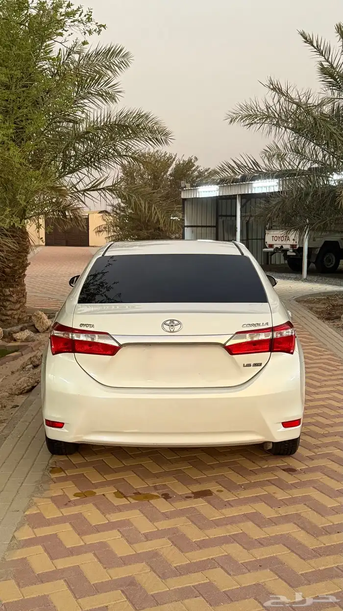 كورولا استاندر 2015 4