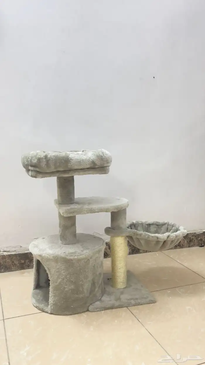 بيت القطاوه 0