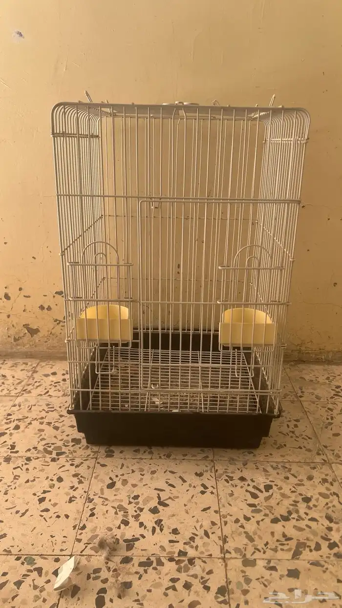 شبك او قص بغبغاء 1