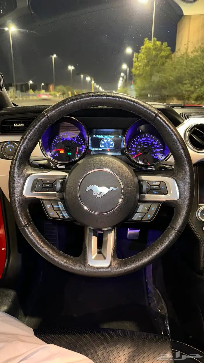 موستنق GT بريميوم 77km 12