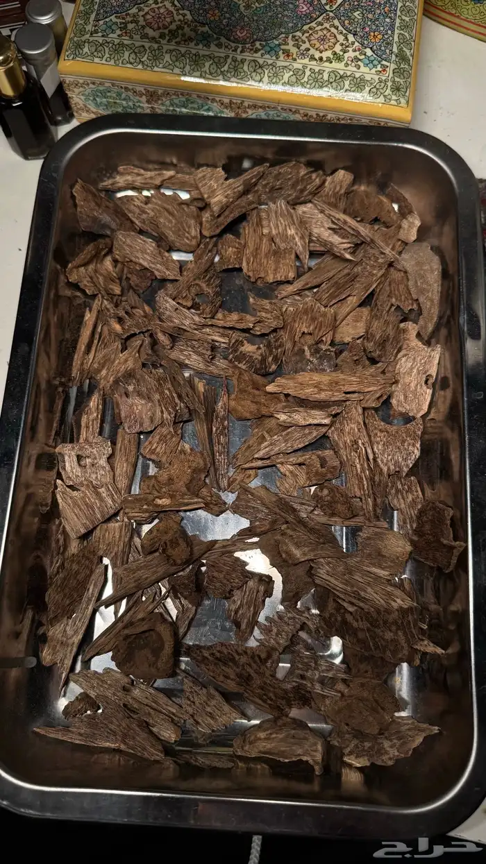 كلمنتان حدود ماليزيا نكهه ماليزيه عطرية جميلة سوبر مرتفع 0