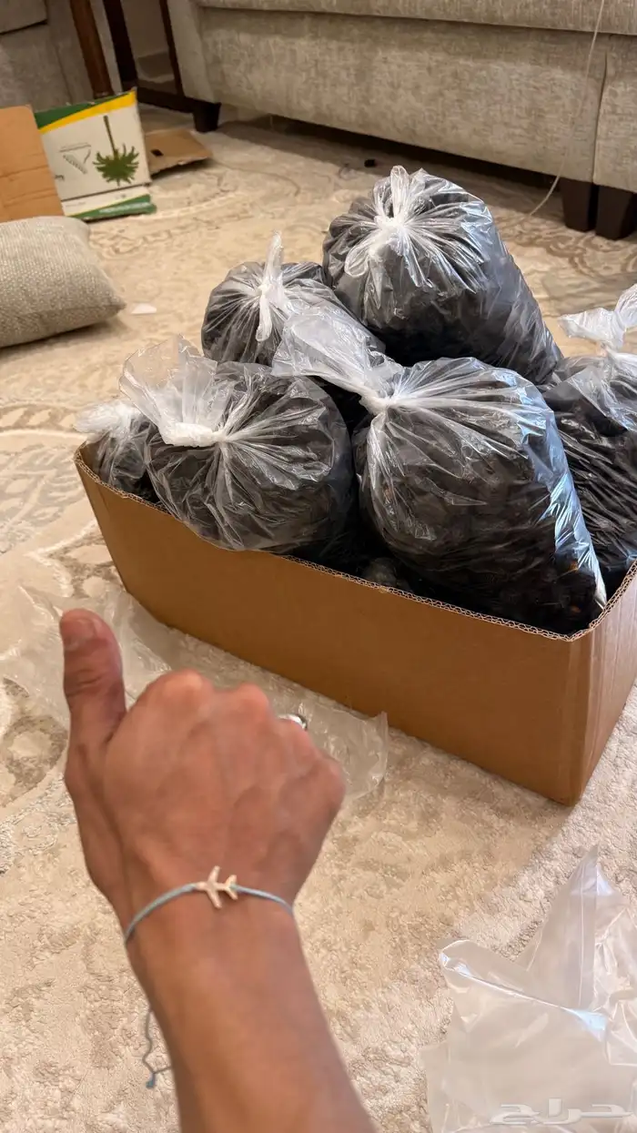 عجوة والله العظيم نأكل من نفس الكرتون ولا نرضى الغش. 1