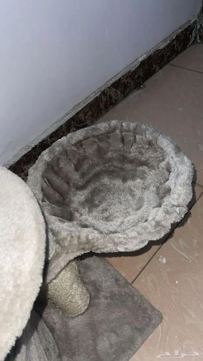 بيت القطاوه 3