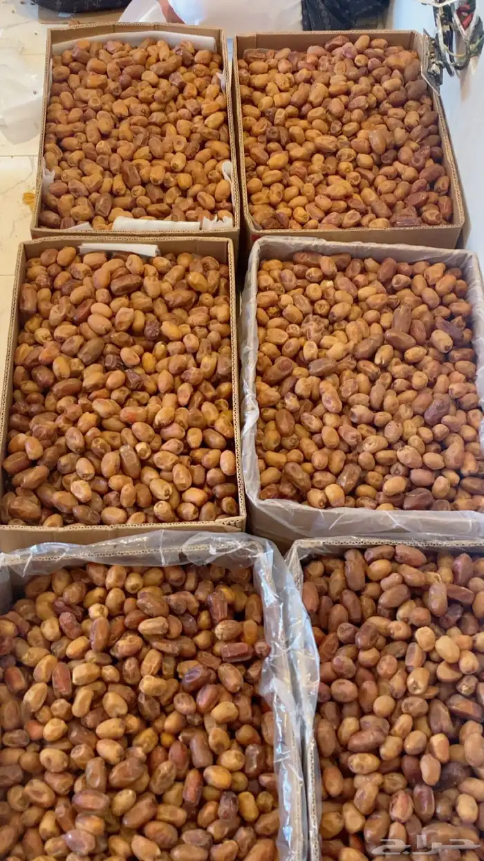 تمر إخلاص بيشة كراتين موز 0