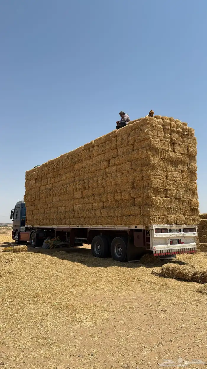 سطحه ثلاث محاور لنقل 1