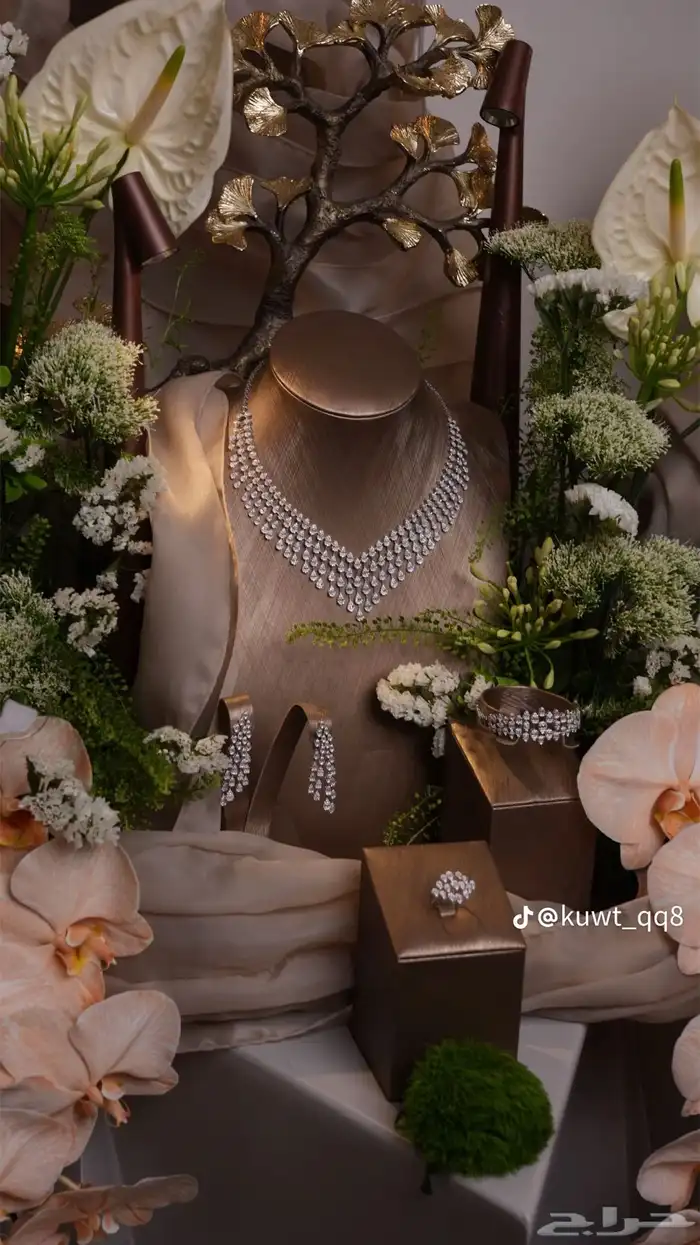 تاجير مونيكان طقم شبكه او دزه او ملكه 2