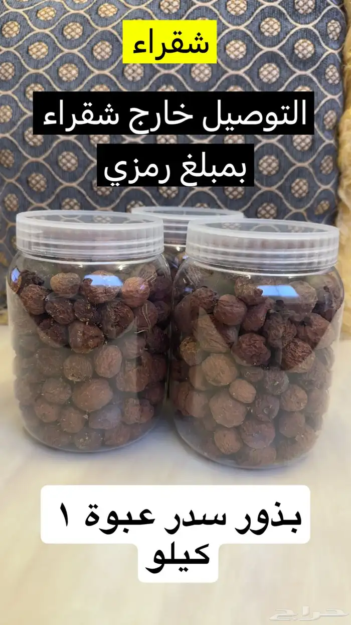 بذور سدر بلدي 0