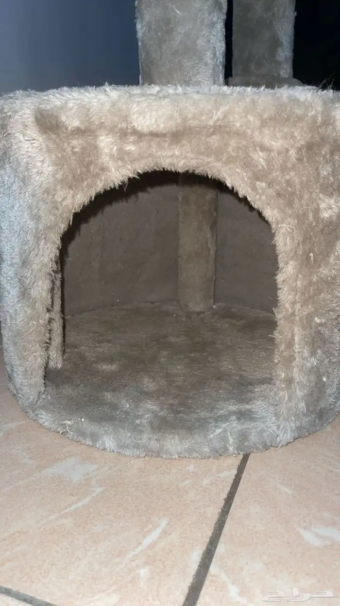 بيت القطاوه 2
