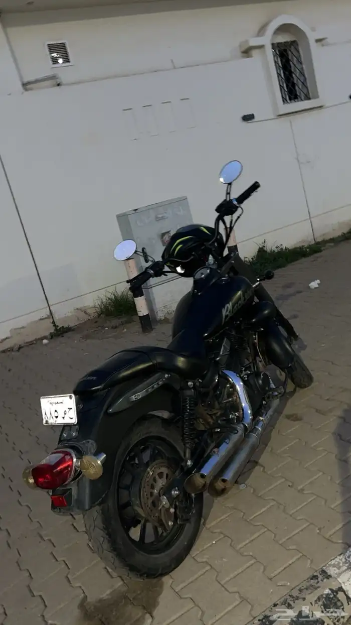 دباب هارلي يحمل لوحه مميزه 1