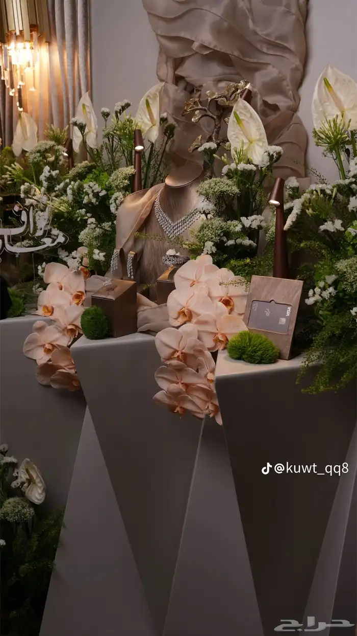 تاجير مونيكان طقم شبكه او دزه او ملكه 0