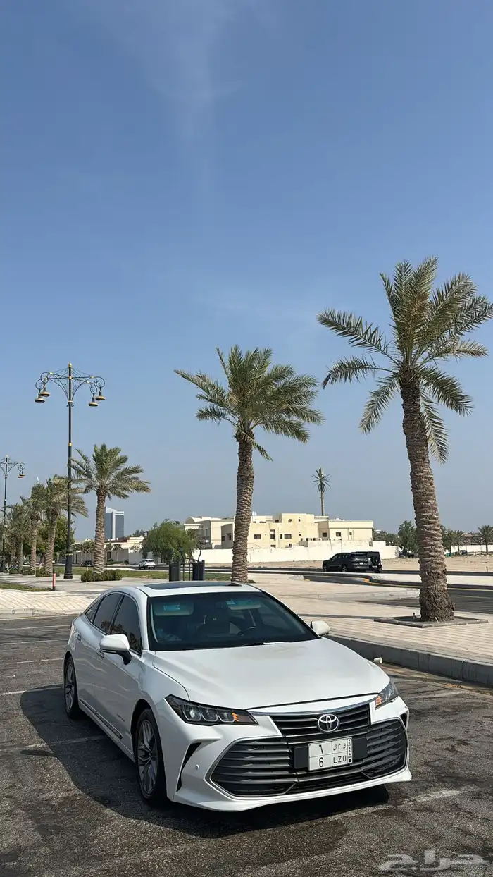 افلون 2020 5