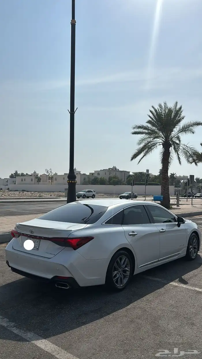 افلون 2020 2