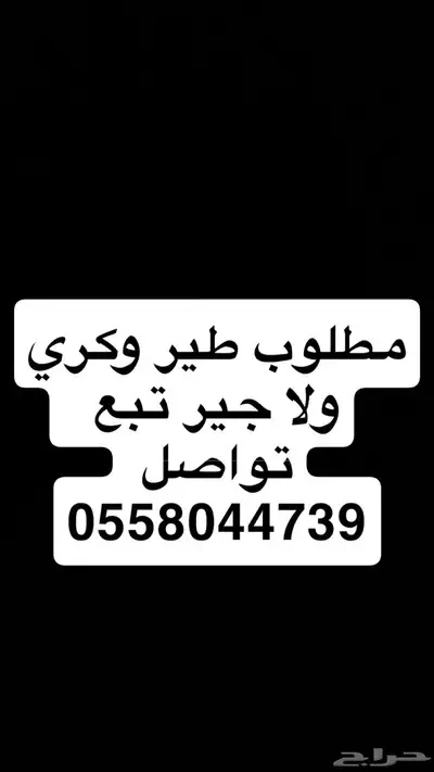 مطلوب طير وكري مطلوب طير وكري 2500 حولها ولا جير تبع 0